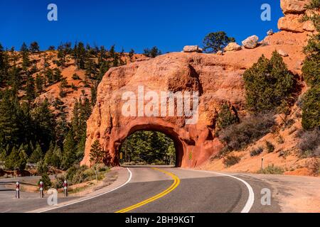 États-Unis, Utah, Comté de Garfield, Forêt nationale de Dixie, Panguitch, Red Canyon, route panoramique 12 Banque D'Images