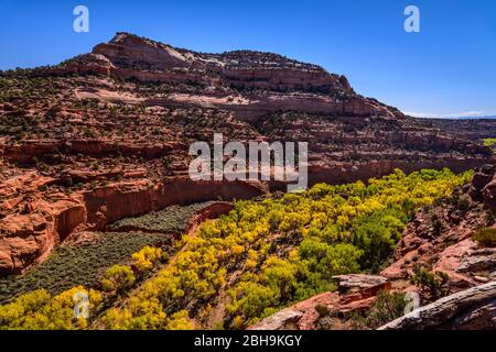 Utah, comté de Garfield, Grand escalier-monument national Escalante, Boulder, Burr Trail, le canyon de Gulch Banque D'Images