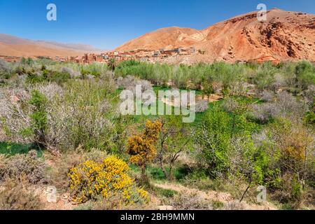 Dadestal bei ait-Ali im Frühling, Atlas, Marokko, Al-Magagin, Afrika, Banque D'Images