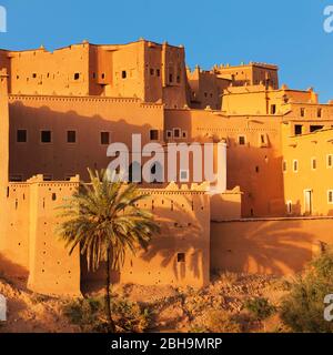 Kasbah Taourirt, Ouarzazate, Al-Maghreb, Maroc, Afrique, Banque D'Images