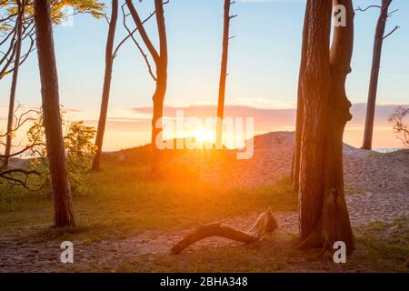 Sommer, Abendstimmung, Sonnenuntergang, Strand, Ostsee, Mecklembourg-Poméranie-Occidentale, Deutschland, Europa Banque D'Images