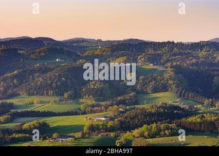 Grein: Maisons de ferme (Vierkanthof) à Mühlviertel, pré, champs, collines du Danube, Haute-Autriche, Haute-Autriche, Autriche, Autriche Banque D'Images