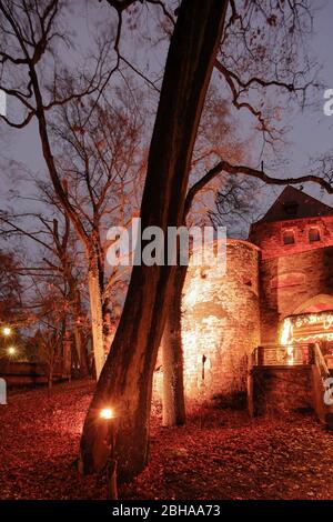 Marché romantique de Noël, château de Thurn et de taxis, heure bleue, Noël, Ratisbonne, Haut-Palatinat, Bavière, Allemagne, Europe Banque D'Images