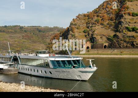 Vue des rives du Rhin de Saint-Goar à l'atterrissage du bateau de plaisance Amadeus Symphony et de la roche d'ardoise Loreley, Saint-Goar, site classé au patrimoine mondial de l'UNESCO Haute-vallée du Rhin moyen, vallée du Rhin, Rhénanie-Palatinat, Allemagne Banque D'Images