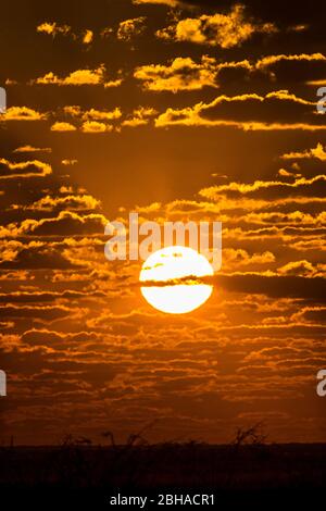 Vue sur le coucher du soleil sur le parc national d'Etosha, Namibie, Afrique Banque D'Images