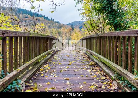 Magnifique pont en bois sur la rivière (pont sur la rivière de Fluvia, village de Castellfollit de la Roca, Catalogne, Espagne). Banque D'Images