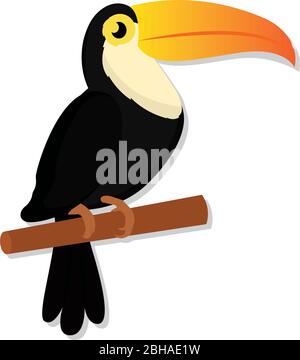 Jolie caricature pélicaine isolée Illustration de Vecteur