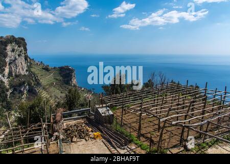 La voie des dieux: Sentiero degli Dei. Incroyablement beau chemin de randonnée au-dessus de la côte amalfitana ou amalfitaine en Italie, d'Agerola à Positano. Mars 2019. Agriculture sur la falaise Banque D'Images