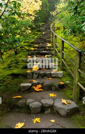 Marches avec feuilles d'automne, jardin japonais, Portland, Oregon, États-Unis Banque D'Images