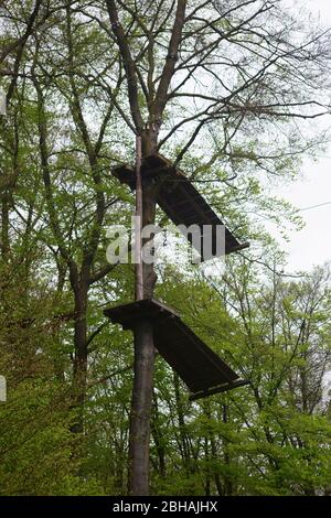 Un parcours d'escalade dans une forêt avec deux plates-formes en bois dans l'arbre. Banque D'Images