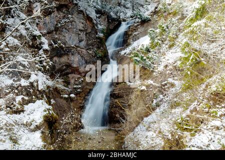 Laintalbach (ruisseau) dans la fonte des neiges avec un fort débit d'eau Banque D'Images