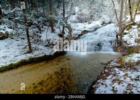 Laintalbach (ruisseau) dans la fonte des neiges avec un fort débit d'eau Banque D'Images