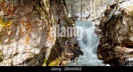 Laintalbach (ruisseau) dans la fonte des neiges avec un fort débit d'eau Banque D'Images