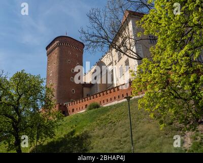 Tour du sénateur du château de Wawel, résidence royale du féomer. Célèbre attraction touristique à Cracovie, Pologne. Banque D'Images