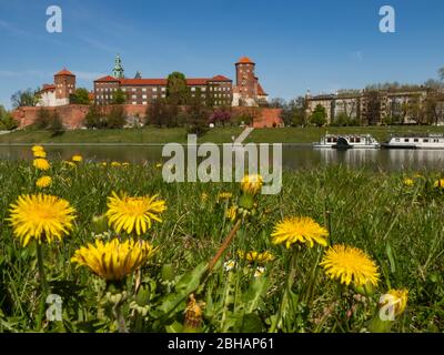 Cracovie/Pologne - 23/04/2020. Ancienne résidence royale de la monarchie polonaise, Château de Wawel, Cracovie, Pologne. Printemps, vue depuis le boul de la Vistule Banque D'Images