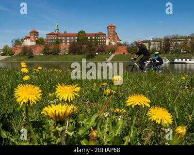 Cracovie/Pologne - 23/04/2020. Ancienne résidence royale de la monarchie polonaise, Château de Wawel, Cracovie, Pologne. Printemps, vue depuis le boul de la Vistule Banque D'Images