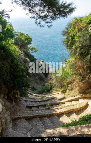 Europe, Espagne, Catalogne, Costa Brava, escalier en pierre sur le Camí de Ronda juste avant Lloret de Mar. Banque D'Images