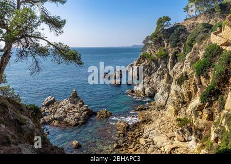 Europe, Espagne, Catalogne, Costa Brava, scène côtière sur la Costa Brava juste avant Lloret de Mar Banque D'Images