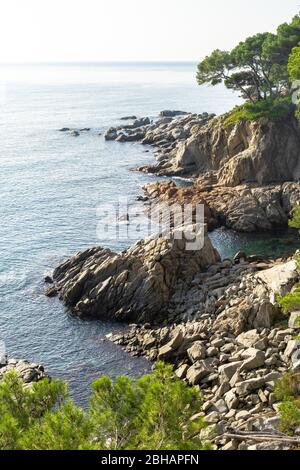 Europe, Espagne, Catalogne, Costa Brava, littoral à Palamós sur la Costa Brava Banque D'Images