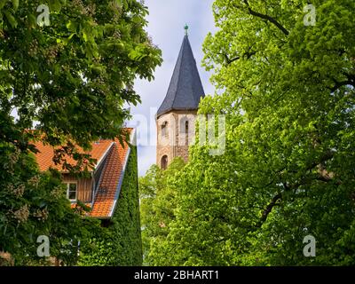 Europe, Allemagne, Saxe-Anhalt, Ilsenburg, Abbaye de Drübeck, couvent bénédictin de Saint-Vitus, 10ème siècle, ancien tilleul dans la cour du monastère Banque D'Images