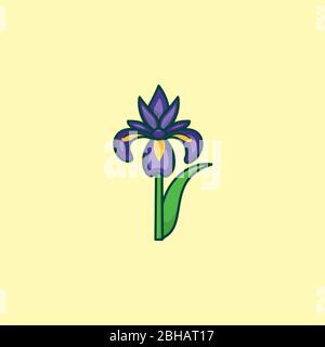 Illustration vectorielle de fleur d'iris violette et jaune pour la journée d'iris le 8 mai. Magnifique symbole de couleur fleur de printemps. Illustration de Vecteur