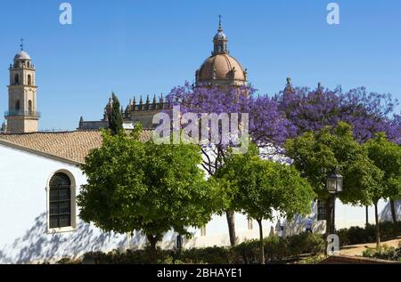 Espagne, Andalousie, Jerez de la Frontera, Cathédrale Banque D'Images
