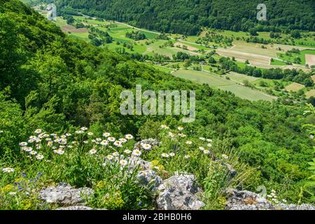 Allemagne, Bade-Wurtemberg, Lenningen-Oberlenningen, vue depuis les 739 m de hauteur Hohkreutfels dans la vallée de Lenninger, réserve de biosphère de l'Alb Banque D'Images