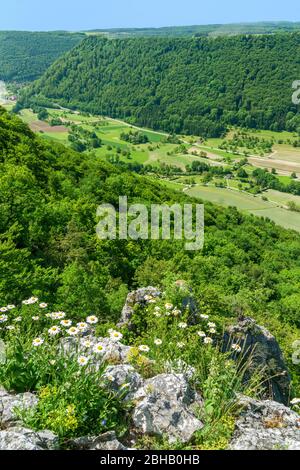 Allemagne, Bade-Wurtemberg, Lenningen-Oberlenningen, vue depuis les 739 m de hauteur Hohkreutfels dans la vallée de Lenninger, réserve de biosphère de l'Alb Banque D'Images