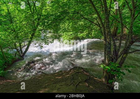 Allemagne, Bade-Wurtemberg, Hayingen - Anhausen, sur le Haut Gießel, la Lauter tombe sur un bar tufa de 4 m de haut. Banque D'Images