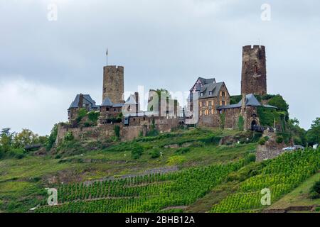 Allemagne, Rhénanie-Palatinat, Alken, Burg Thdurant, vignoble dans la vallée de la Moselle. Banque D'Images