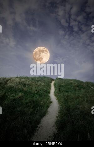 Danemark, Jutland, fjord de Ringkobing, dunes sur la plage de Nymindegab, pleine lune. Banque D'Images