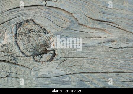 Particule de pin blanc lavé de la maison avec nœud et fermeture fissurée. Texture, arrière-plan Banque D'Images