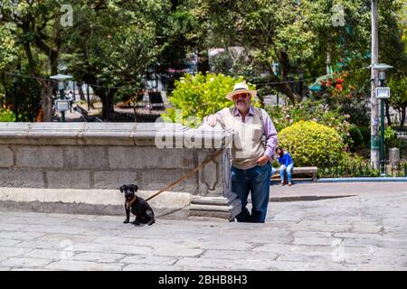 San José de Minas, Pichincha, Equateur, 10 août 2019: Le touriste attend avec son animal de compagnie dans les stands de l'église de San José de Minas dans le centre par Banque D'Images