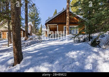 BANF, CANADA - 20 MARS 2020: Chalets de vacances dans le parc d'hiver entre les arbres dans le canyon Johnston. Banque D'Images