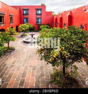 Patio intérieur avec arbres oranges dans l'Hacienda Galindo, Queretaro, Mexique. Banque D'Images