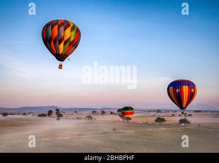 Les montgolfières au lever du soleil montent sur des champs de brume brumeux près de Tequisquiapan, Queretaro, Mexique. Banque D'Images