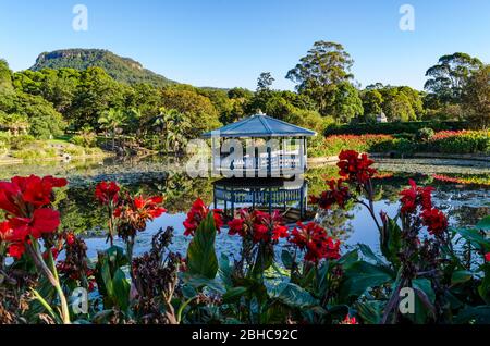 L'étang de canard aux jardins botaniques de Wollongong Banque D'Images