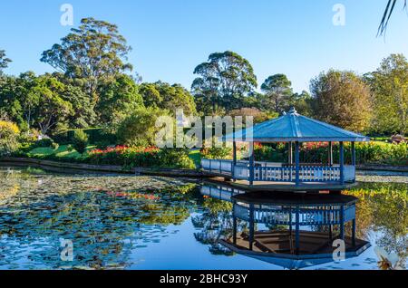 L'étang de canard aux jardins botaniques de Wollongong Banque D'Images