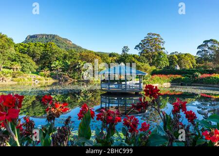 L'étang de canard aux jardins botaniques de Wollongong Banque D'Images