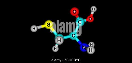 La cystéine est un acide aminé protéinogénique sémiessentiel. illustration tridimensionnelle Banque D'Images