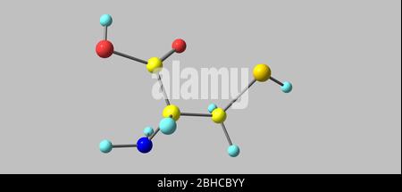 La cystéine est un acide aminé protéinogénique sémiessentiel. illustration tridimensionnelle Banque D'Images