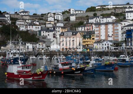 Marché de gros de poissons à Luarca sur la côte des Asturies, dans le nord de l'Espagne Banque D'Images