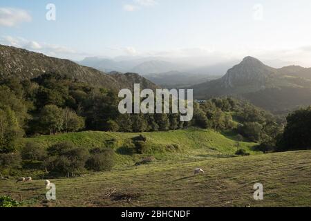 Vue sur la campagne depuis le restaurant Casa Marcial, récompensé par deux étoiles au Michelin, situé à la Salgar, dans les Asturies, dans le nord de l'Espagne Banque D'Images