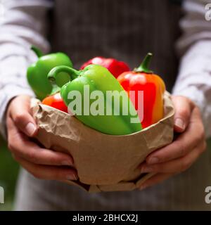Homme tenant un sac en papier avec paprika douce pour le client Banque D'Images
