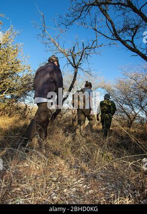 Volontaires avec des patrouilles d'unité anti-braconnage dans la réserve de gibier de Timbavati, Afrique du Sud Banque D'Images