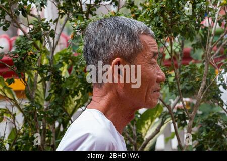 Profil de ridée vieux vietnamien, sa Bec, Vietnam, Asie Banque D'Images