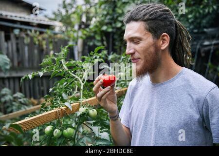 Agriculteur barbus avec des dreadlocks manger ses émissions de tomate fraîche Banque D'Images
