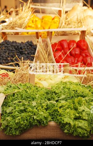 Une boîte de laitue au premier plan d'une exposition de fruits et légumes cultivés localement pendant la célébration annuelle Friuli Doc (Udine) de 2011 de localement Banque D'Images