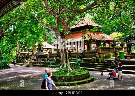 Singes macaques et statues à Ubud Bali, Indonésie. Forêt de singes sacrés et complexe de temples hindous à Ubud. Banque D'Images