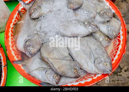 La boutique de poissons frais dans la rue avec son vendeur montrant le style de vie thaïlandais original à Prachuabkirikhan Thaïlande le 10 juin 2017 Banque D'Images